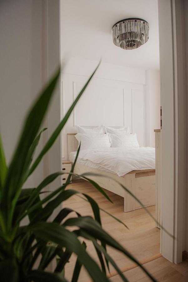 Modern Apartment In Timisoara Exterior photo